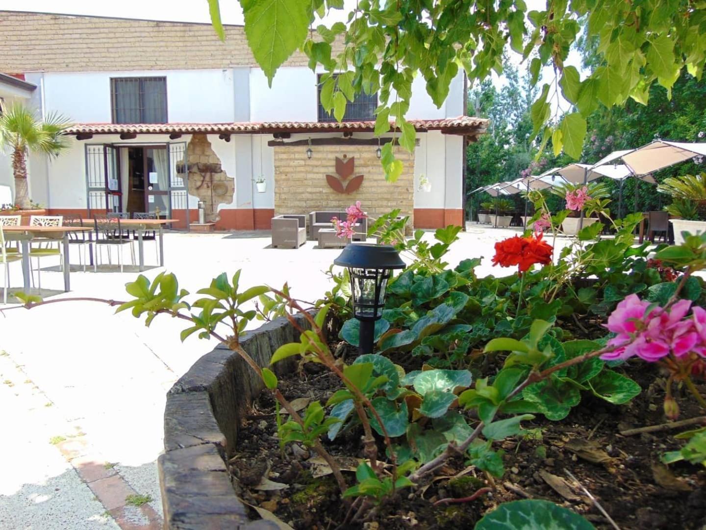 Casale Rurale Bed & Breakfast San Marco Evangelista Екстериор снимка
