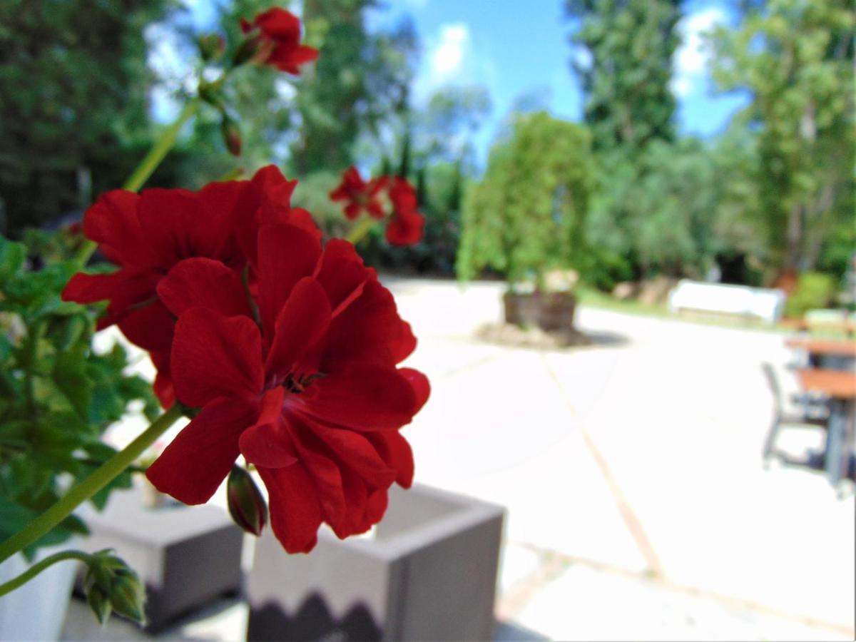 Casale Rurale Bed & Breakfast San Marco Evangelista Екстериор снимка