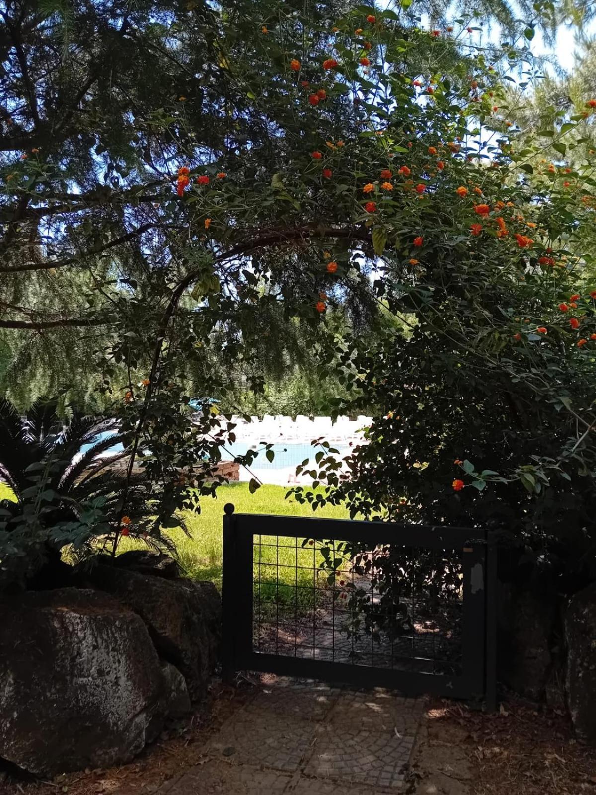 Casale Rurale Bed & Breakfast San Marco Evangelista Екстериор снимка