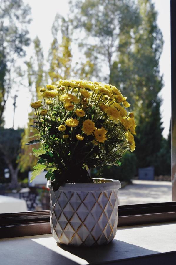 Casale Rurale Bed & Breakfast San Marco Evangelista Екстериор снимка